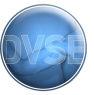 Logo DVSE Deutsche Vereinigung für Schulter- und Ellenbogenchirurgie