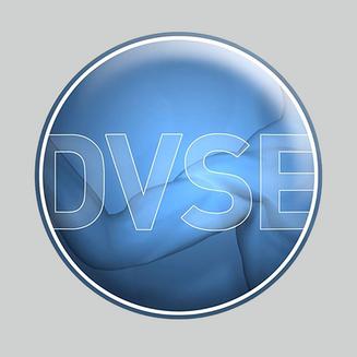 Logo of the DVSE training center of the German Society of Shoulder and Elbow Surgery