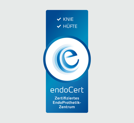 blau-weißes endoCert Logo auf hellgrauem Grund