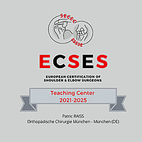 [Translate to Englisch:] Logo ECSES Teaching Center 2021 - 2025 
