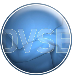 Logo DVSE Deutsche Vereinigung für Schulter- und Ellenbogenchirurgie