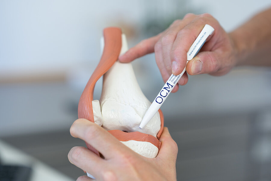 Großaufnahme Kniegelenk-Modell, linke Hand eines Arztes hält es, in der rechten ein Kugelschreiber, der auf eine Stelle am Modell zeigt
